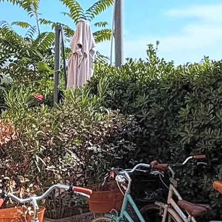 Otel Bencista' Marina di Pietrasanta